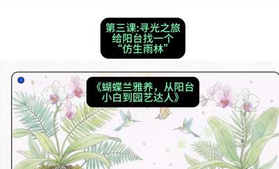 第三节：寻光之旅：给阳台找一个&ldquo;仿生雨林&rdquo;，课程：《蝴蝶兰雅养六讲：从阳台小白到园艺达人》#识农AI