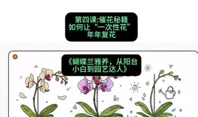 第四节：催花秘籍：如何让&ldquo;一次性花&rdquo;年年复花，课程：《蝴蝶兰雅养六讲：从阳台小白到园艺达人》#识农AI