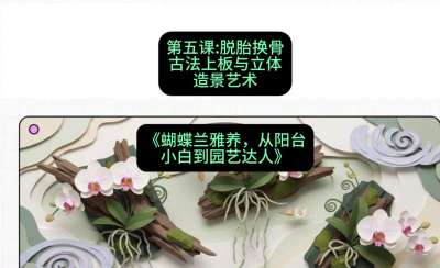 第五节：脱胎换骨：古法上板与立体造景艺术，课程：《蝴蝶兰雅养六讲：从阳台小白到园艺达人》#识农AI