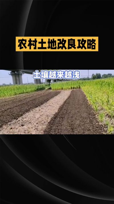 1. 先搞懂：你到底要改良哪块地、种什么
 
- 土土土在哪里？
就是你自家农田、菜地、果园，哪块地想种庄稼，就测哪块地的土。
​
- 有水没有水？
有水能浇：改良更省事，施肥、调酸碱都好操作。
没水
