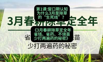 第1节：窗口期认知，为什么3月是除草的&ldquo;生死线&rdquo;？，课程：《3月春耕除草定全年：省钱、省药、不烧苗、少打两遍药的秘密》