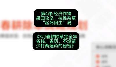 第4节：经济作物果园攻坚，抗性杂草&ldquo;起死回生&rdquo;局，课程：《3月春耕除草定全年：省钱、省药、不烧苗、少打两遍药的秘密》